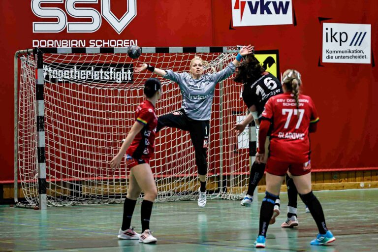 HEIMPREMIERE GEGEN VIZEMEISTER